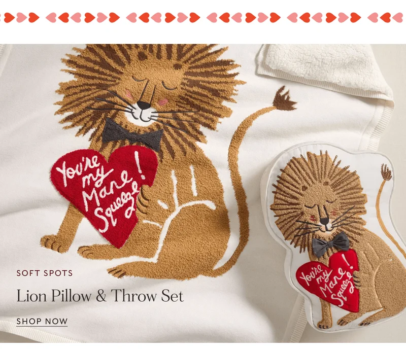 SOFT SPOTS | Lion Pillow & Throw Set | SHOP NOW