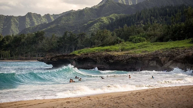 Image description: Surfers on the beach.