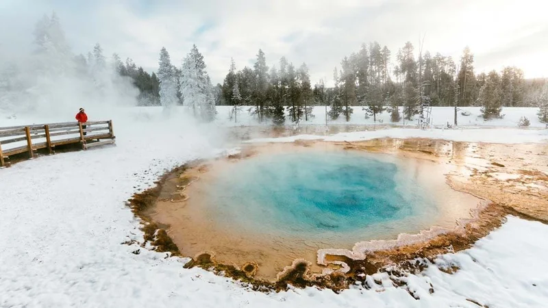 Image description: Geyser at Yellowstone National Park, in the winter.