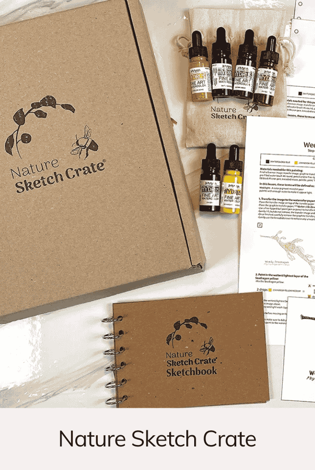 Nature Sketch Crate