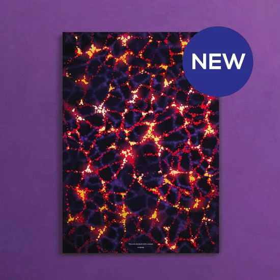 Cosmic Web Poster