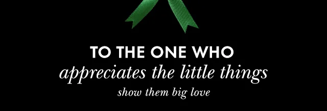 TO THE ONE WHO APPRECIATES THE LITTLE THINGS