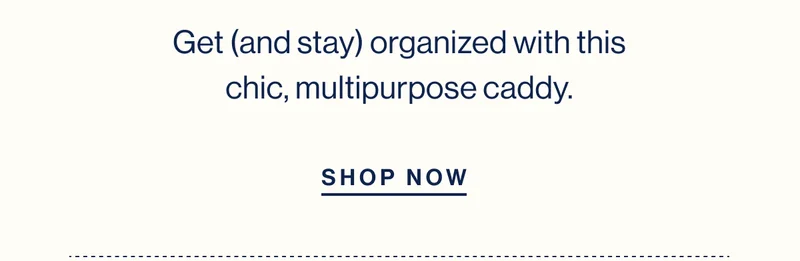 Get (and stay) organized with this chic, multipurpose caddy.