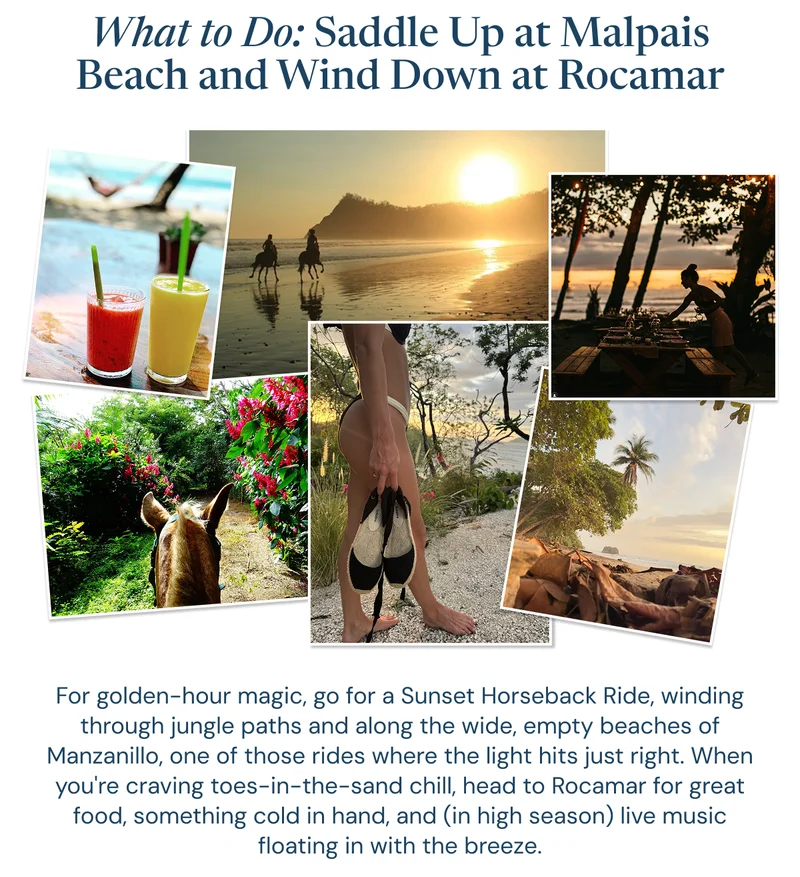 What to Do: Saddle Up at Malpais Beach and Wind Down at Rocamar. For golden-hour magic, go for a Sunset Horseback Ride, winding through jungle paths and along the wide, empty beaches of Manzanillo, one of those rides where the light hits just right. When you're craving toes-in-the-sand chill, head to Rocamar for great food, something cold in hand, and (in high season) live music floating in with the breeze.