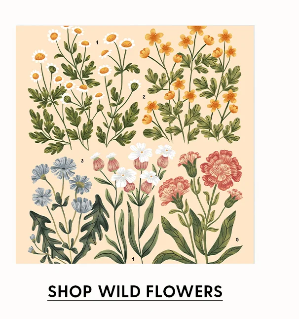 Shop Wild Flowers