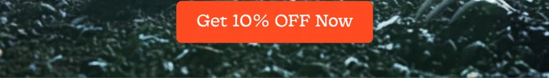 Get 10% Off Now
