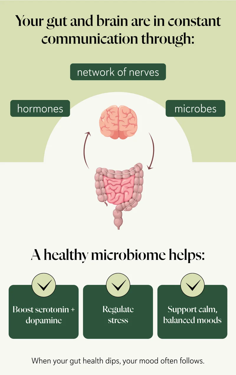 Your gut and brain are in constant communication through a network of nerves, hormones, and microbes. A healthy microbiome helps: Boost serotonin + dopamine    Regulate stress   Support calm, balanced moods When your gut health dips, your mood often follows.