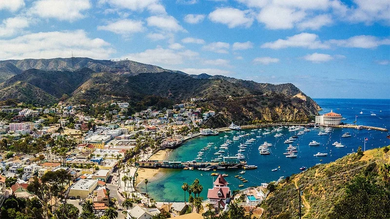 Image description: Boats on marina on Santa Catalina Island, California