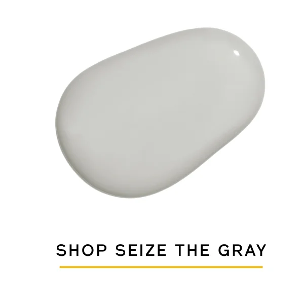 SHOP SEIZE THE GRAY
