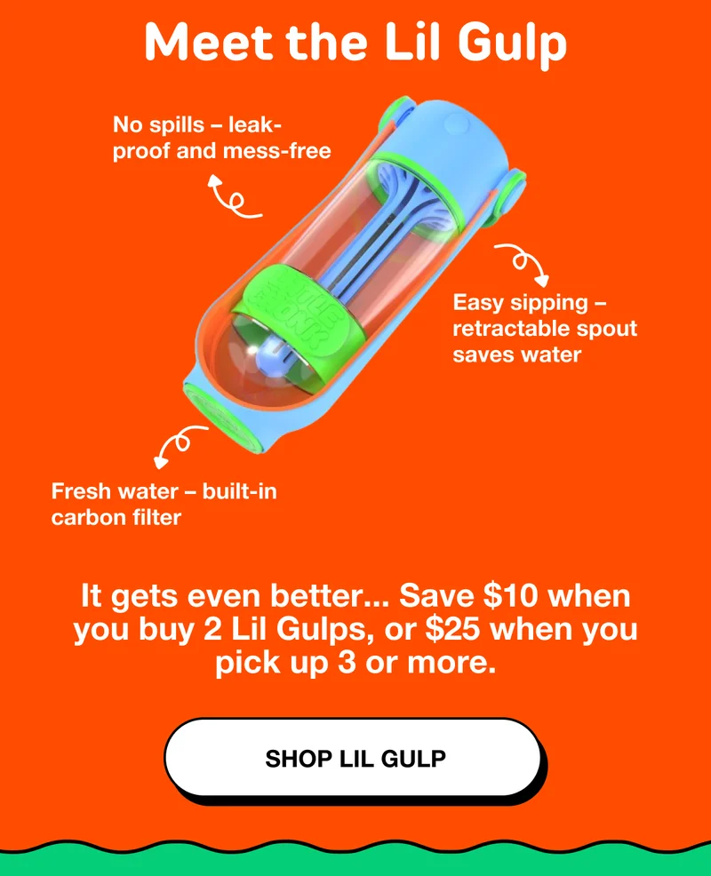 Meet the Lil Gulp