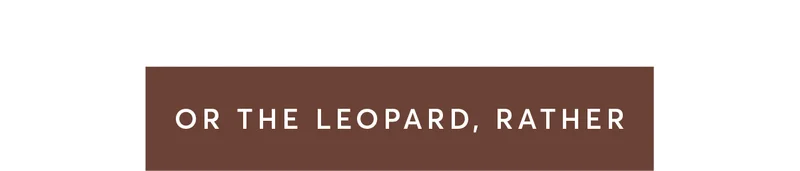 Or a leopard, rather