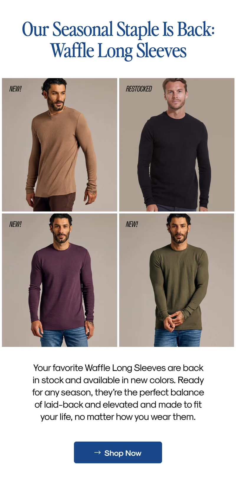 SHOP THE LAYER SHOP