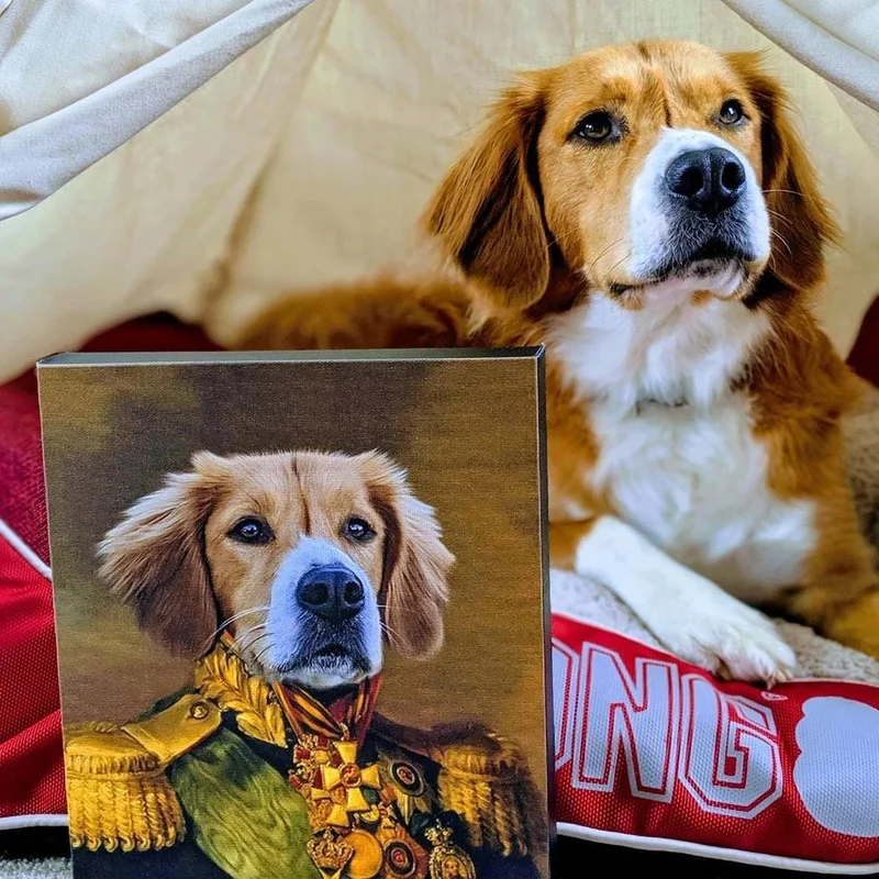 Image of The Colonel - Custom Pet Canvas