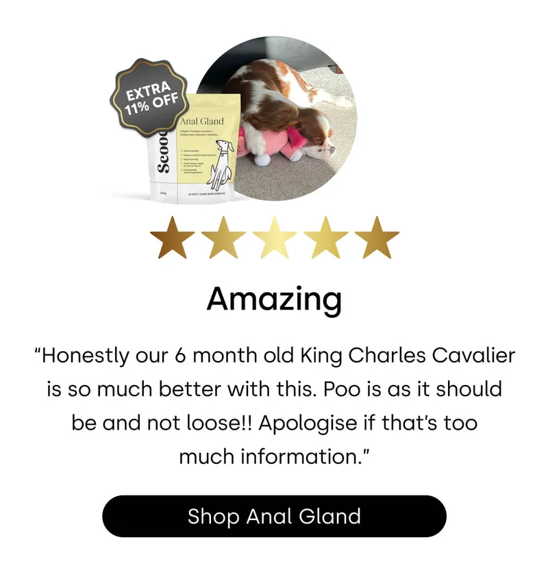 What’s on every pup’s wishlist? - Shop Anal Gland