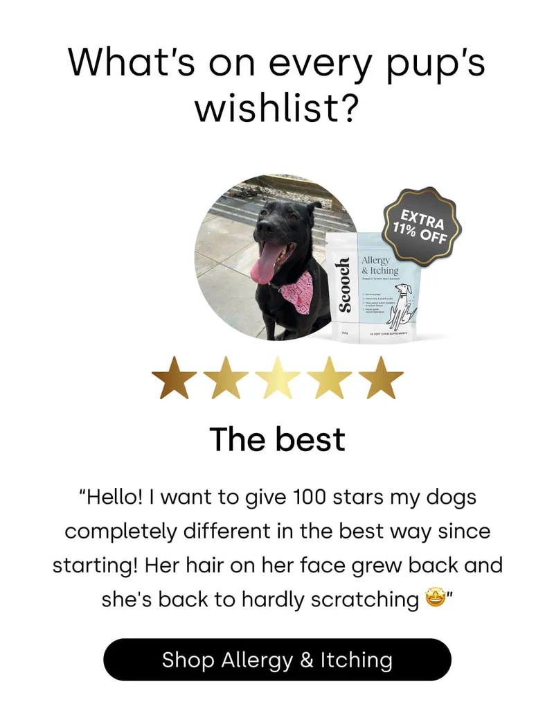 What’s on every pup’s wishlist? - Shop Allergy & Itching