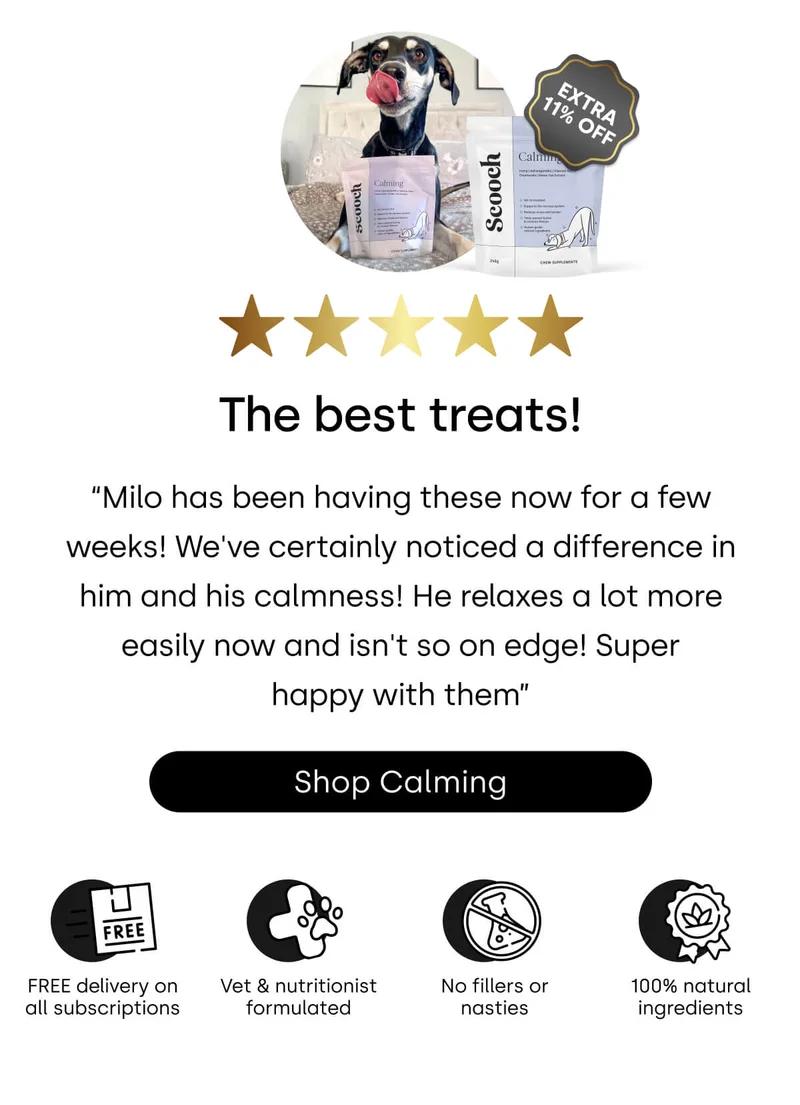 What’s on every pup’s wishlist? - Shop Calming