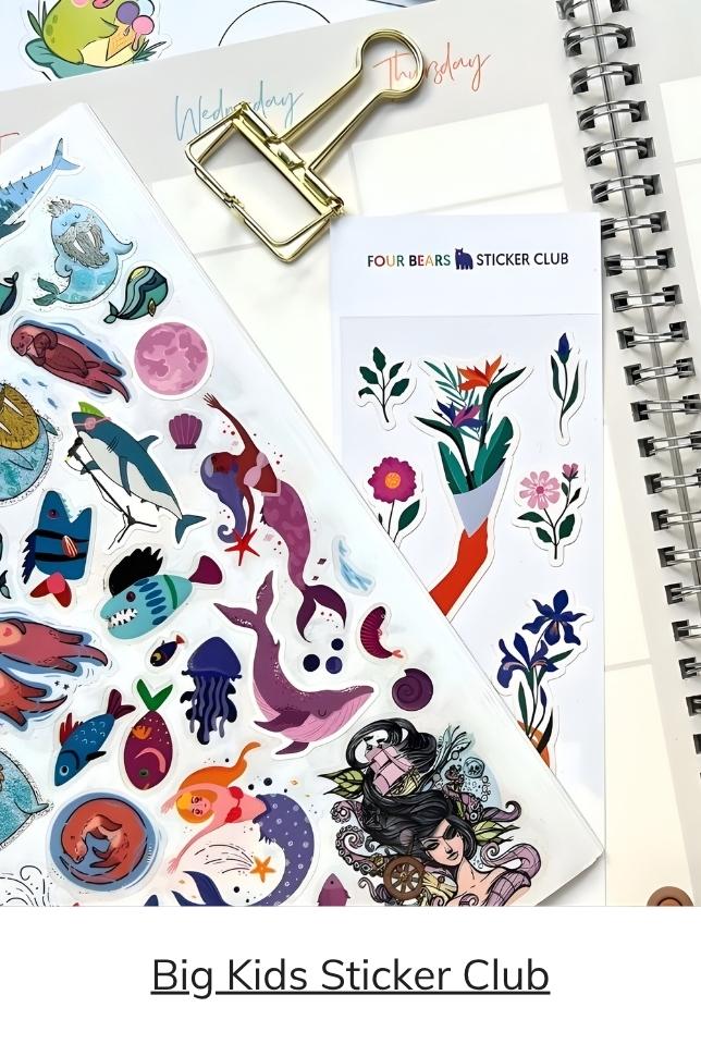 Big Kids Sticker Pack