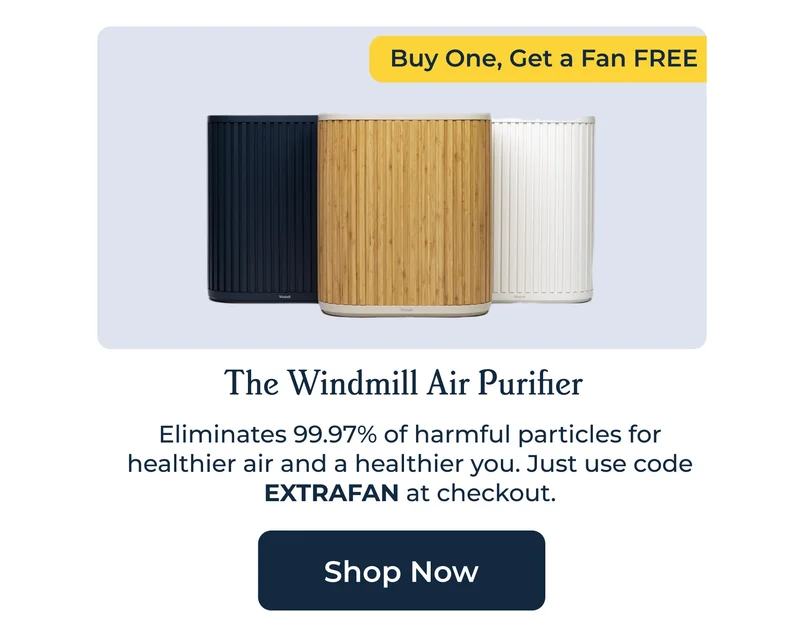 The Windmill Air Purifier