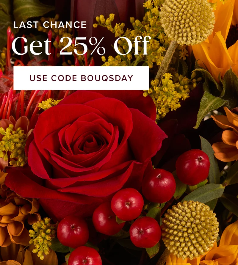 Last Chance to get 25% off! Use code BOUQSDAY