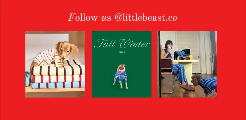 Follow us on Instagram