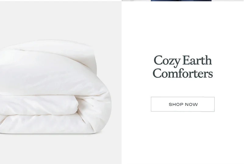 Cozy Earth Comforters