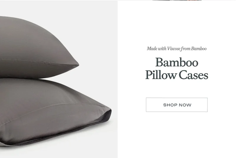 Bamboo Pillow Cases