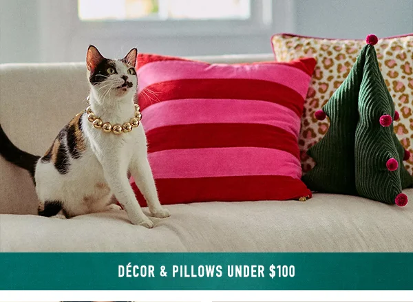decor and pillows under 100