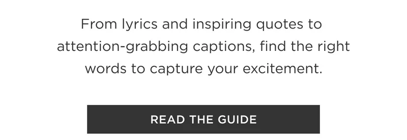 Read The Guide