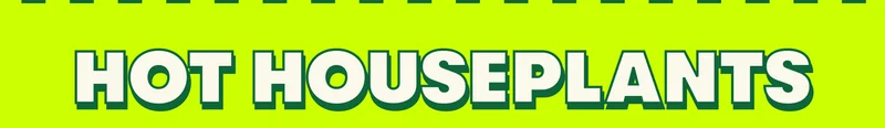 HOT HOUSEPLANTS