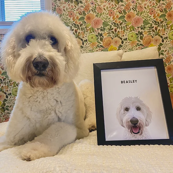 Modern Pet Portrait - One Pet
