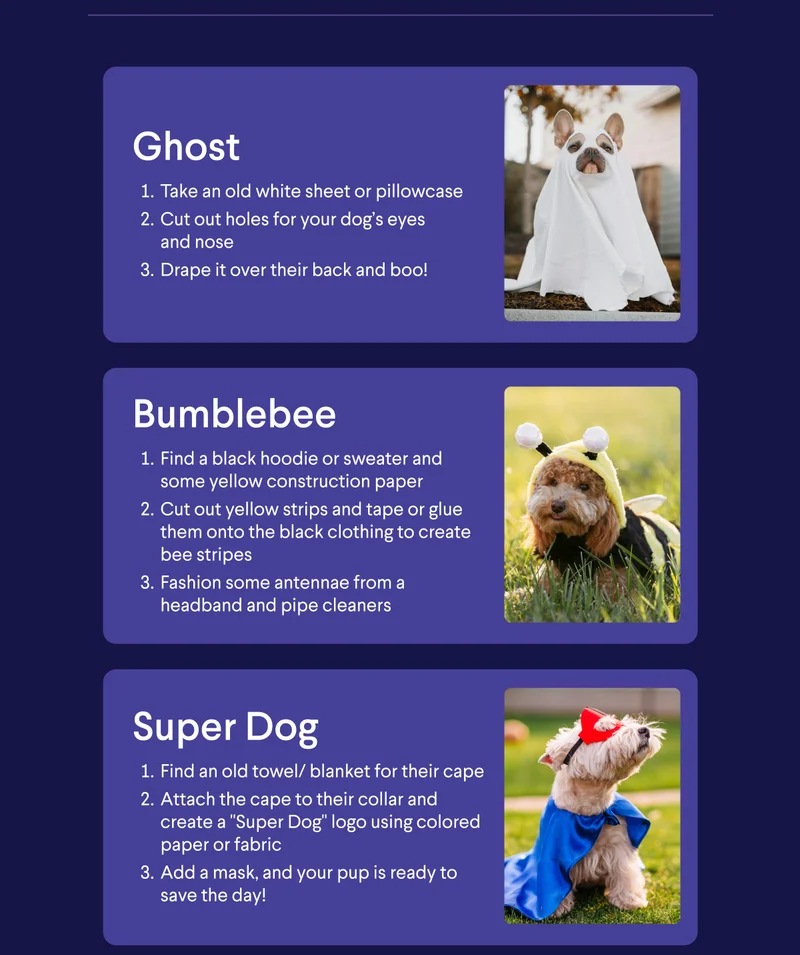 DIY Costume Ideas: Ghost, Bumblebee, Super Dog
