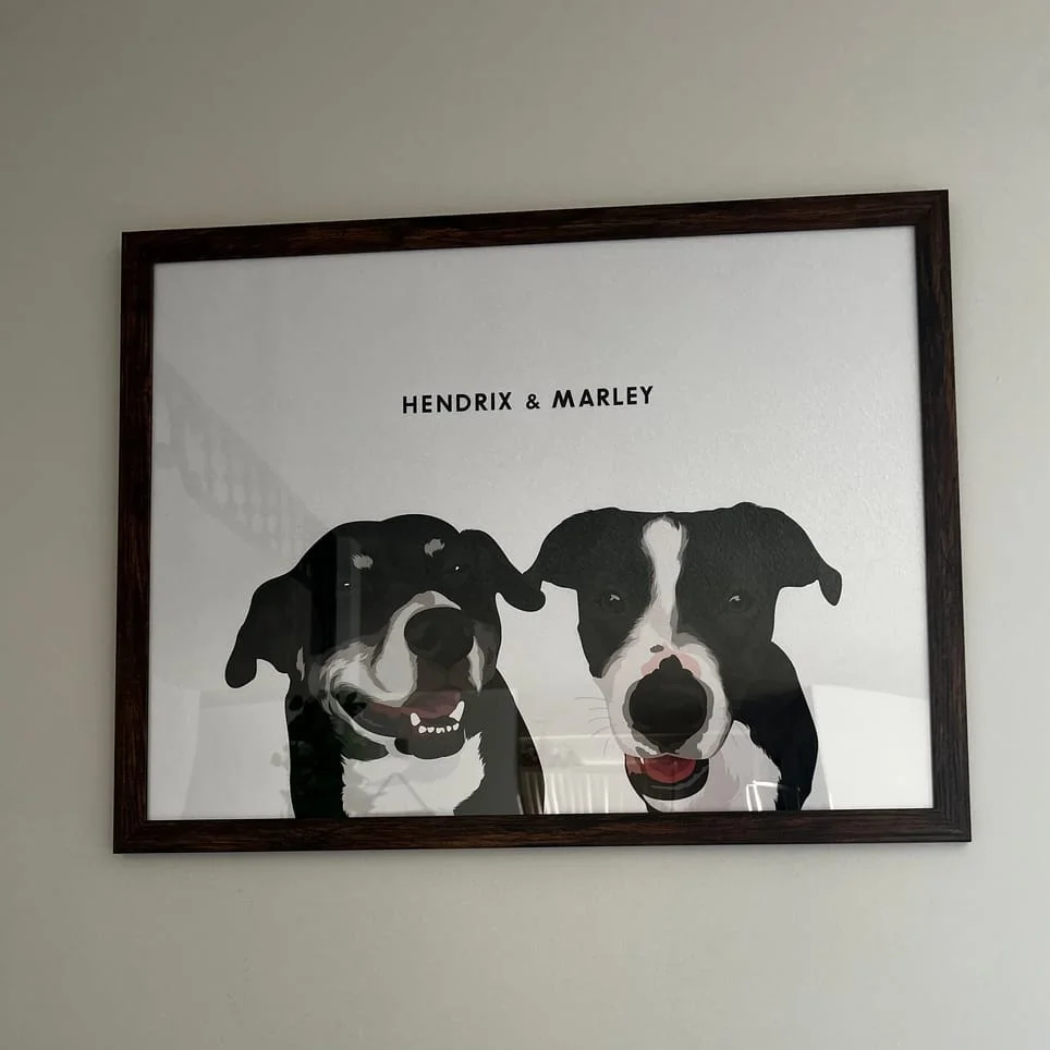 Modern Pet Portrait