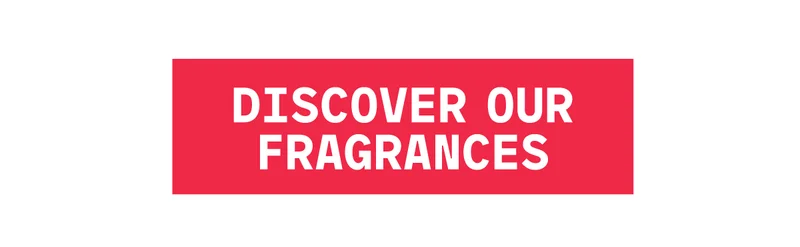Discover Our Fragances 02