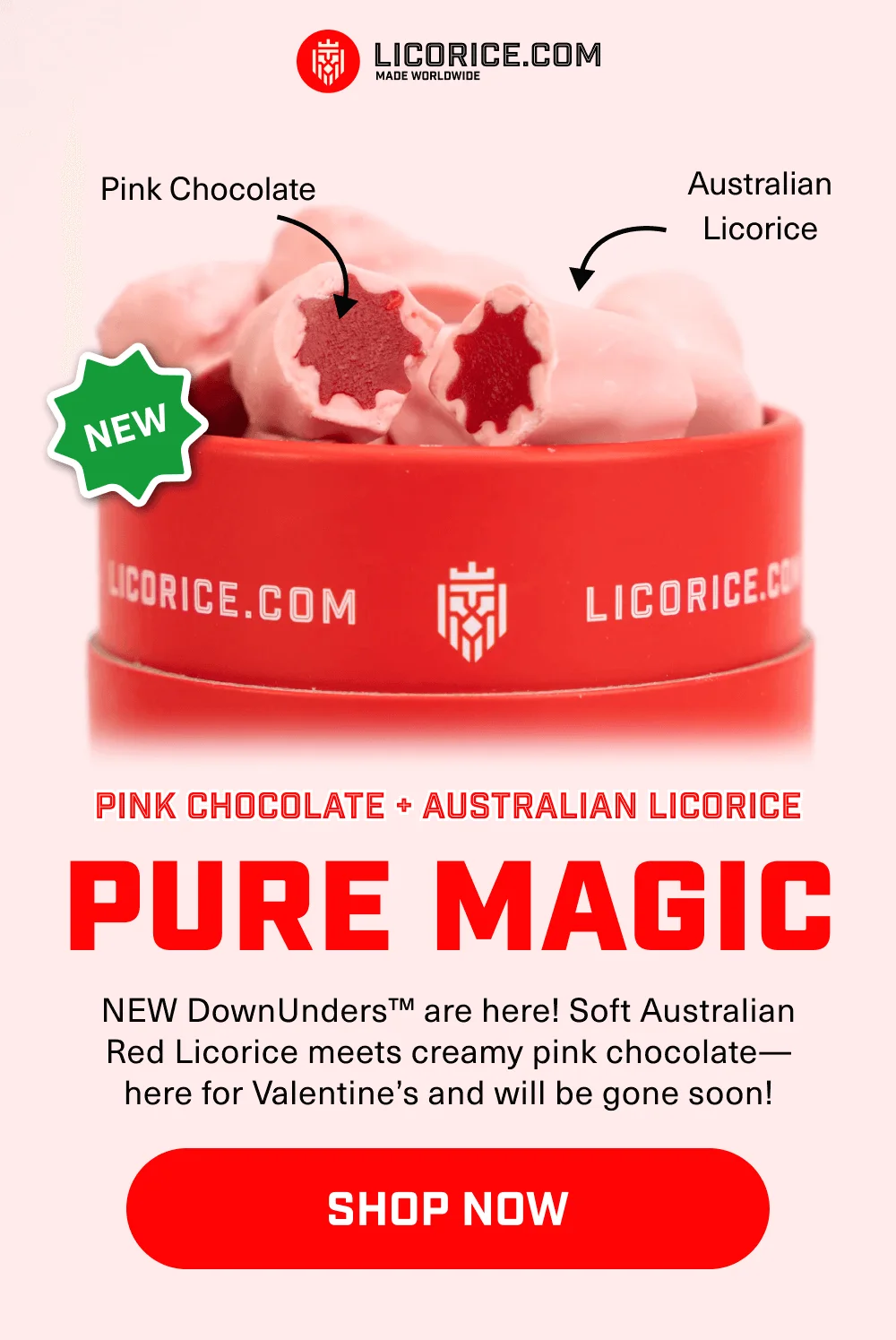 Pink Chocolate Strawberry DownUnders™