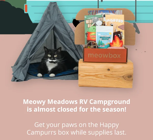 Image of a black and white cat lying down in a cat tent, next to the Happy Campurrs meowbox toys (featuring toys like the Purrfectly Toasted S'mores wand, Meowsquito Be Gone toys and more). In front of a RV background setting. Meowy Meadows RV Campground is almost closed for the season! Get your paws on the Happy Campurrs box while supplies last.