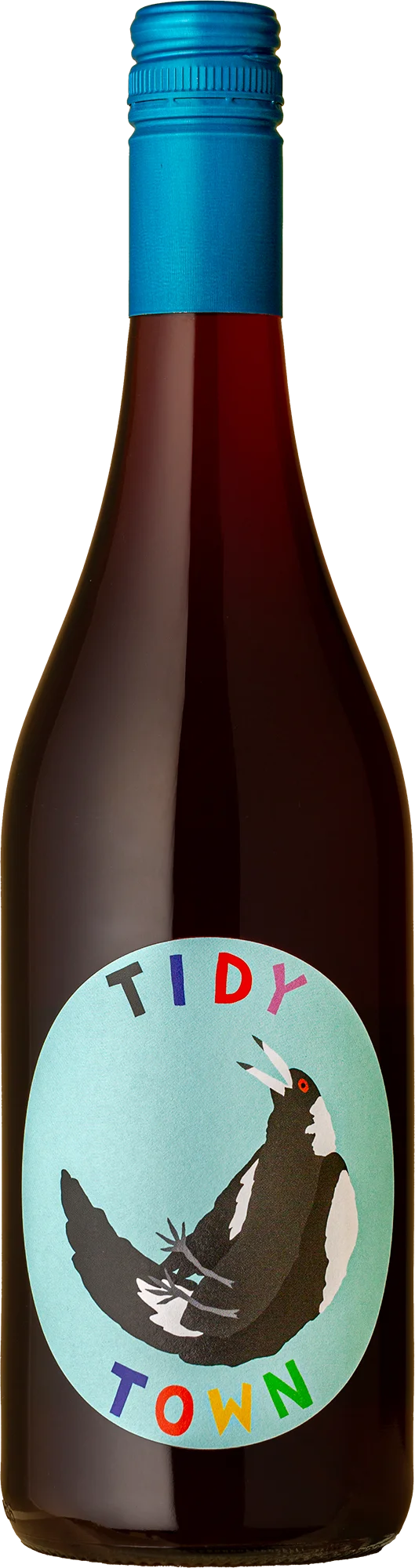 Image of Tidy Town <br>Swoopy Boi Chilled Red Lambrusco Maestri 2024