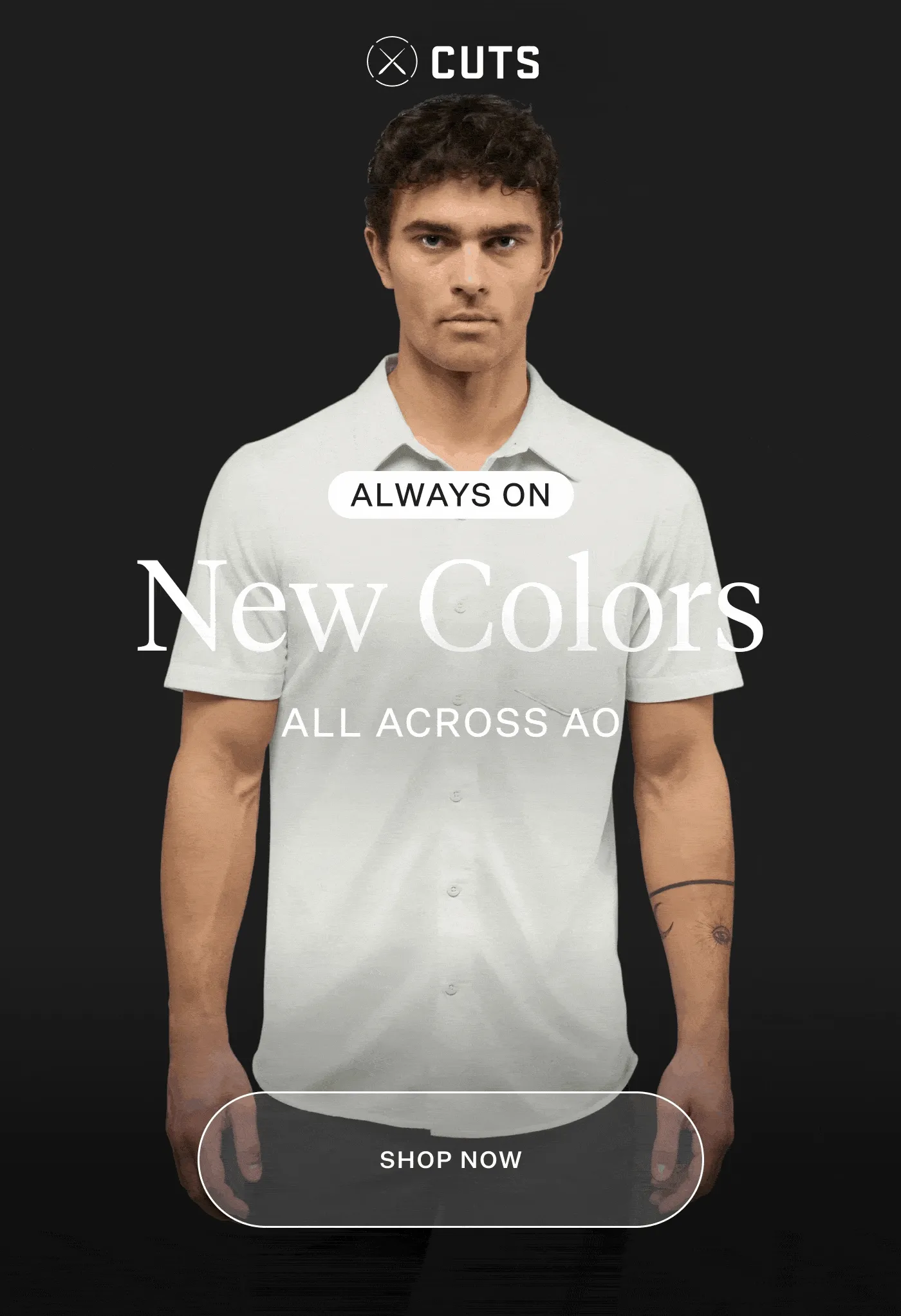 SHOP NEW AO COLORS