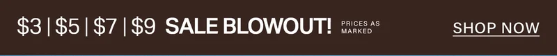 Dark brown banner promoting a Sale Blowout with items for $3, $5, $7, $9. Prices as marked. Shop Now for huge discounts.