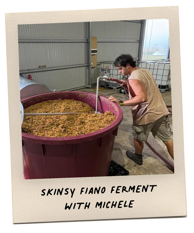 Konpira Maru fermenting skinsy fiano in Victoria.