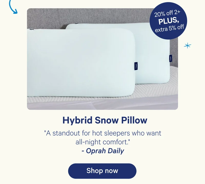 Hybrid Snow Pillow