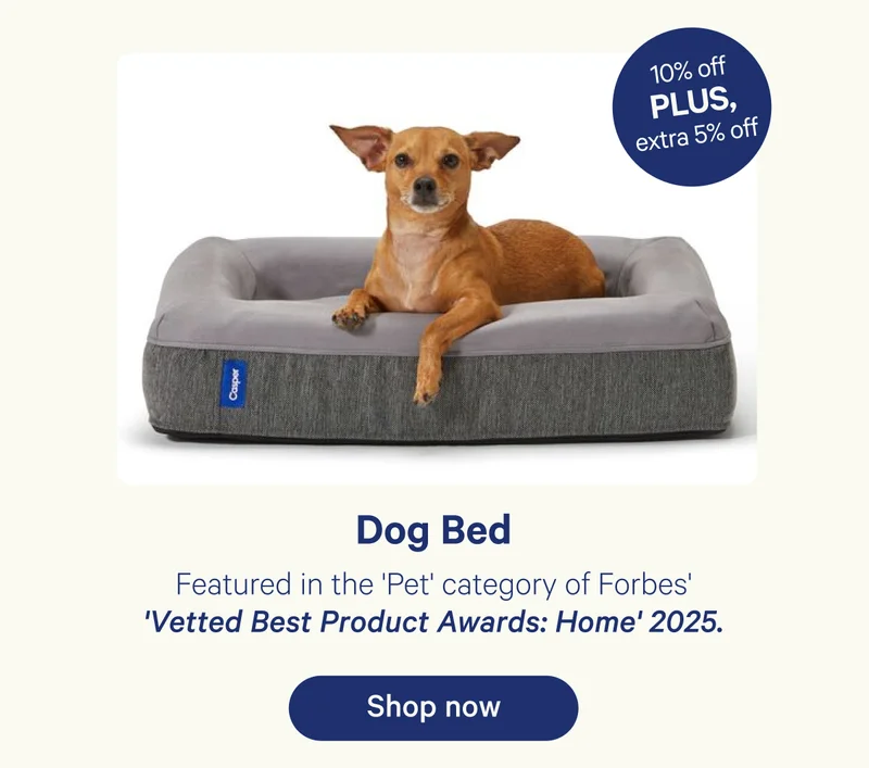 Dog Bed