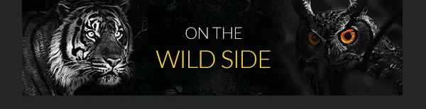 On the WILD SIDE