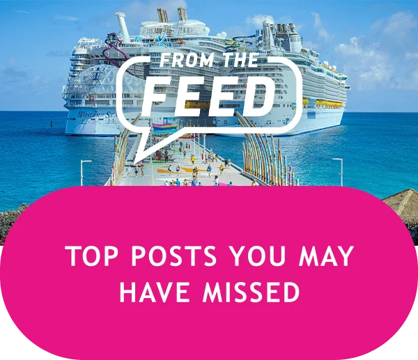 FROM THE FEED