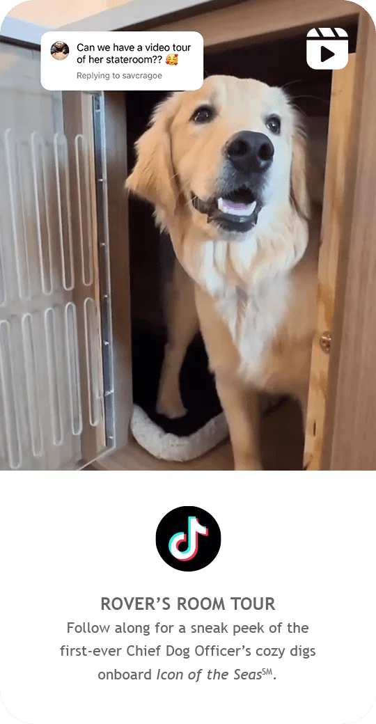 ROVER'S ROOM TOUR