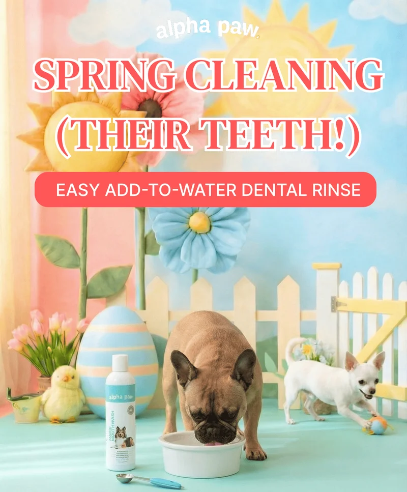 Spring Clean Spring Clean