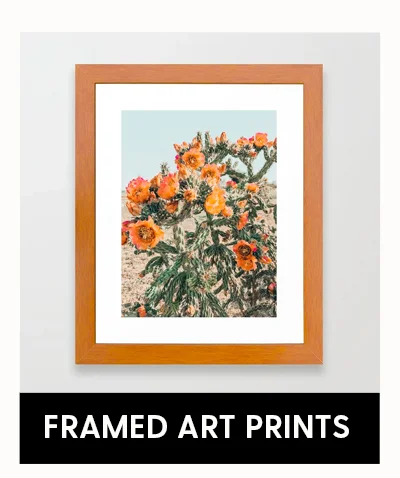 Shop Framed Art Prints