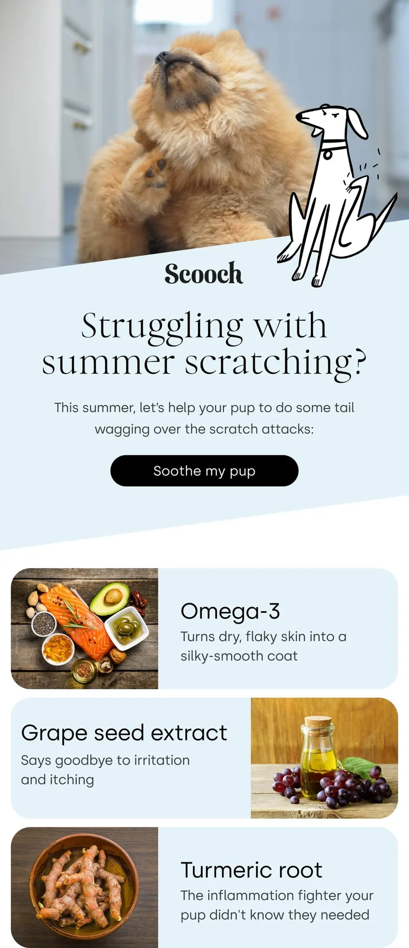 This summer, let’s help your pup to do some tail wagging over the scratch attacks: - Soothe my pup