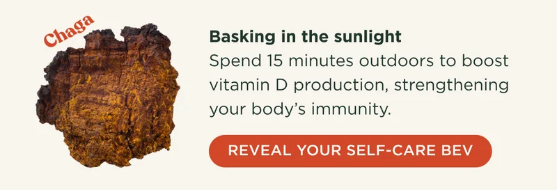 Chaga - Basking in the sunlight - Spend 15 minutes outdoors to boost vitamin D production, strengthening your body's immunity. - REVEAL YOUR SELF-CARE BEV