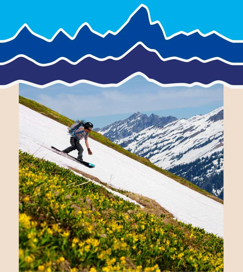 A snowboarder rides down a thin strip of snow behind a patch of yellow flowers.