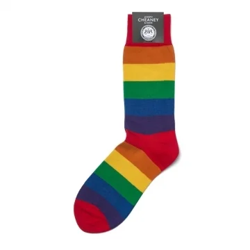 Rainbow Stripe Cotton Socks